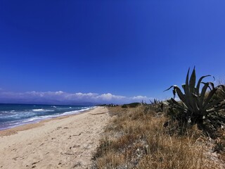sand dunes and sky