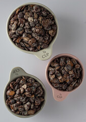 African fermented locust beans (Iru, Dawadawa, Netetou), used as condiment in African cooking.