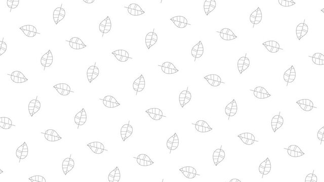 Poplar tree leaves black thin line icons on a white background. Seamless loop motion graphic pattern with animated leaves in geometric grid