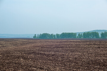 The cultivated field in the fall.