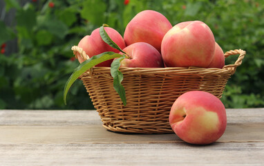 Basket of Fresh Organic Peaches on table at Market