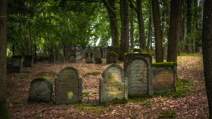 Jüdischer Friedhof in Franken