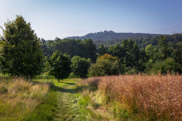 Fototapeta na wymiar Sommerlandschaft in Oberfranken