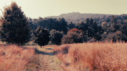 Sommerlandschaft in Oberfranken
