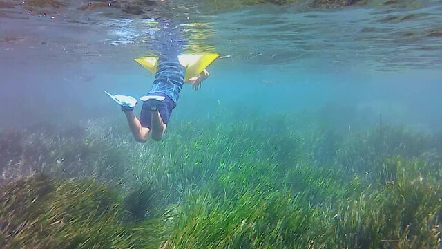 kid snorkeling and swimming over seagrass in Tabarca Islandin Alicante, Spain