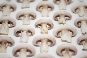pattern columns of sliced champignon mushroom on white background conceptual abstract photo