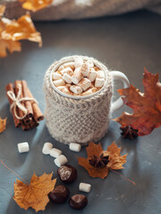 A mug of autumn hot chocolate with marshmallows on the table with maple leaves and a knitted warm scarf. Hygge style