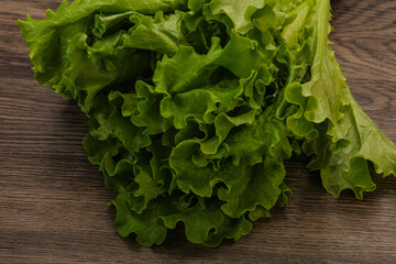 Green lettuce salad heap leaves