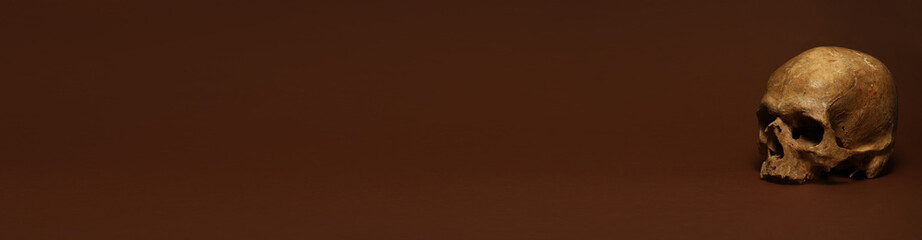 Human skull on dark color background