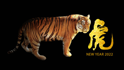 Beautiful New Year greeting card with tiger for 2022