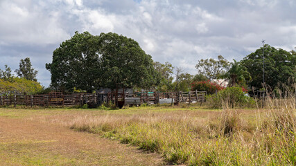 Fototapeta na wymiar Rural Cattle Yards