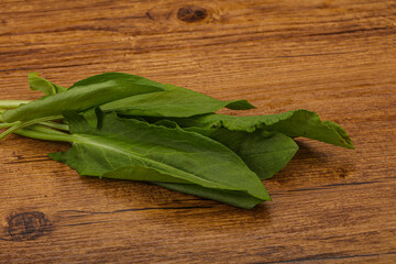 Aroma Fresh green sorrel heap