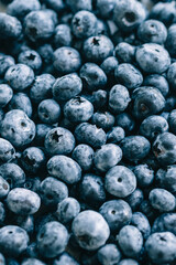 Fresh blueberry close-up. Food background