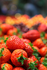 Chile
Water
Sea
Patagonia
signs
signos
urban
bus
micro