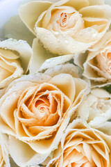 Pastel roses close-up covered with water drops. Wallpaper phone. Vertical background for postcard, notebook or album.