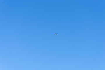Bird flying high against the blue sky