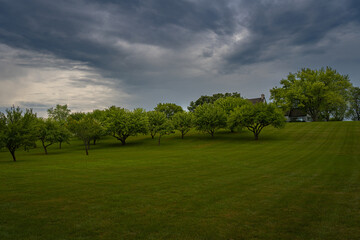 2021-08-17 LUSH GREEN PASTURE LINED WITH GREEN TREES AND STORMY CLOUDS