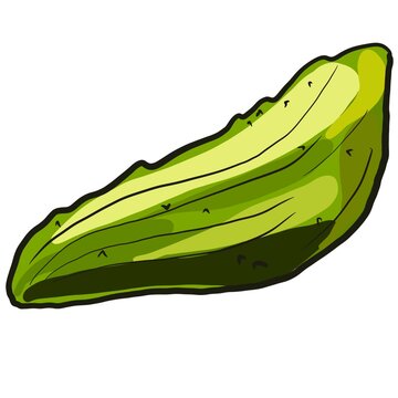 Illustration  vegetable Caigua isolated on white background 