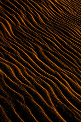 Sand texture outlined by the wind. Wavy shapes of light and shadow.