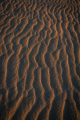 Sand texture outlined by the wind. Wavy shapes of light and shadow.
