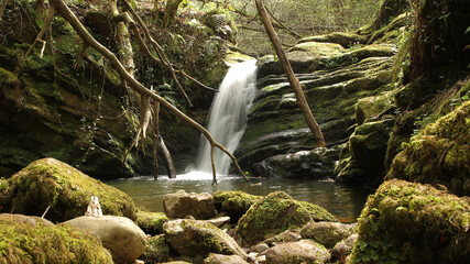 Ruta del río de la Canal de las Tejeras, Cantabria, España © IVÁN VIEITO GARCÍA