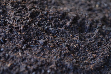 Close-up of organic soil. Black land for plant background. 