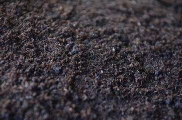 Close-up of organic soil. Black land for plant background. 