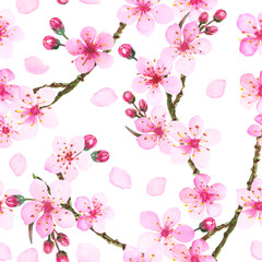 Watercolor illustration of pink cherry blossom. Hand painted spring time flower pattern.
