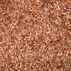 Organic flax seeds - Linum usitatissimum. Healthy food