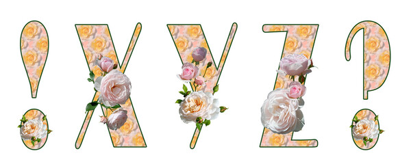 Latin capital letters X, Y, Z, exclamation and question marks with pink blur floral fill and white roses. Isolated elements on a white background. Broadway.
