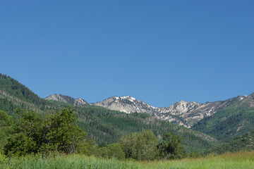Fototapeta na wymiar Wasatch Mountains in Summer, Utah