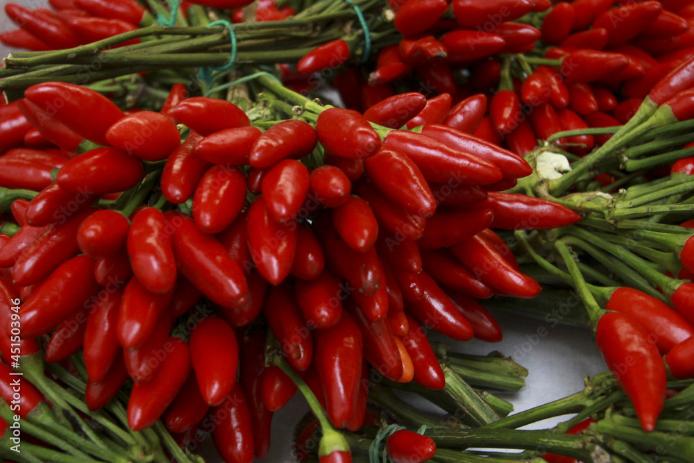 Sticker Closeup of a bunch of red chili pepper.