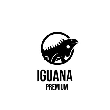 iguana logo icon design illustration vector