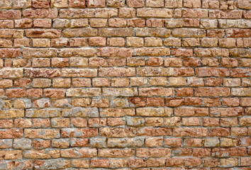 Obraz premium Old brick wall with white paint background texture close up