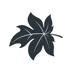 papaya leaf illustration, papaya leaf icon.