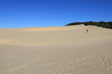 Fototapeta na wymiar hiking on sand dunes near Lake Wabby on Fraser Island, Queensland, Australia