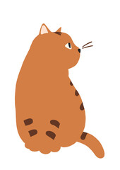 振り向く猫のイラスト-トラ猫
