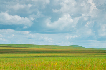 Fototapeta na wymiar The grassland landscape in Hulun Buir, Inner Mongolia, China, summer time.