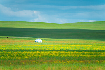 The grassland landscape in Hulun Buir, Inner Mongolia, China, summer time.