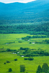 Fototapeta na wymiar The wetland landscape in Hulun Buir, Inner Mongolia, China, summer time.