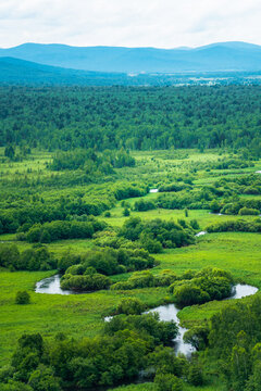 The wetland landscape in Hulun Buir, Inner Mongolia, China, summer time.
