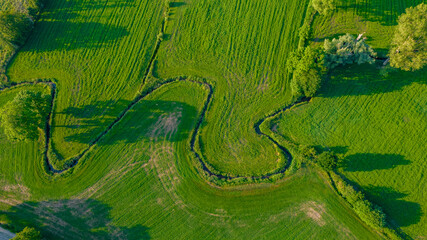 Obraz premium Aerial view of meandering lowland river in the lush green vegetation of the delta. High quality photo