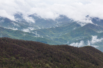 Spring Landscape near the Blue Ridge Parkway in North Carolina