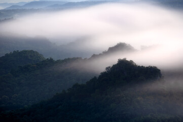 Aerial view. Beautiful fog in the forest with green mountains.