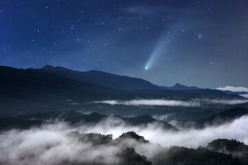 The sea of mist at night in the forest in the sky with meteors. - 451524118