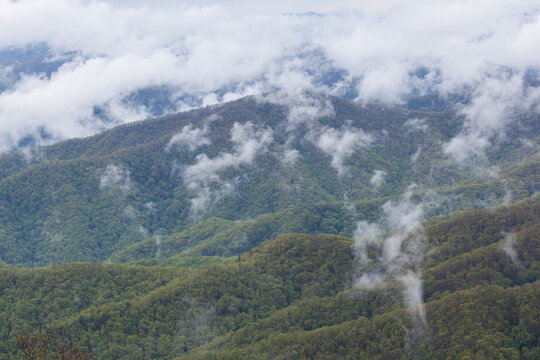 Spring Landscape near the Blue Ridge Parkway in North Carolina