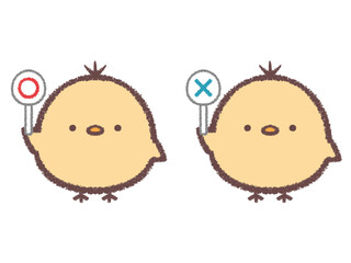 正解札と不正解札を持つヒヨコのセット © kino
