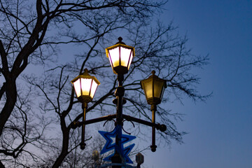 Fototapeta na wymiar Lights in the winter Park. Evening. Sunset.