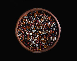 Variedades de Frejol andino en recipiente de la cultura Caranqui