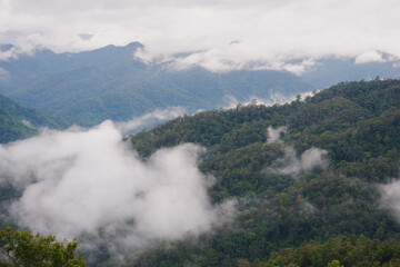 mountain and fog landscape with blue sky of high view